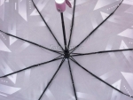 Зонт  женский Umbrellas, арт.530_product